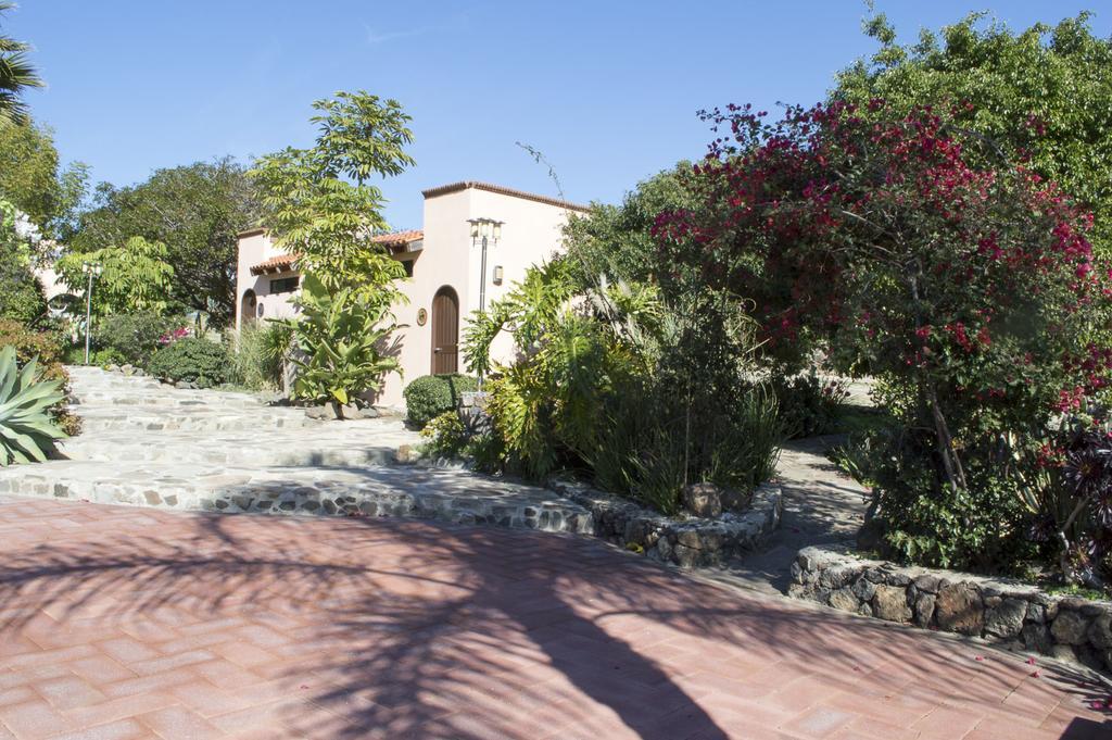 Quinta Santa Teresa Villa & Suites Ensenada Zewnętrze zdjęcie