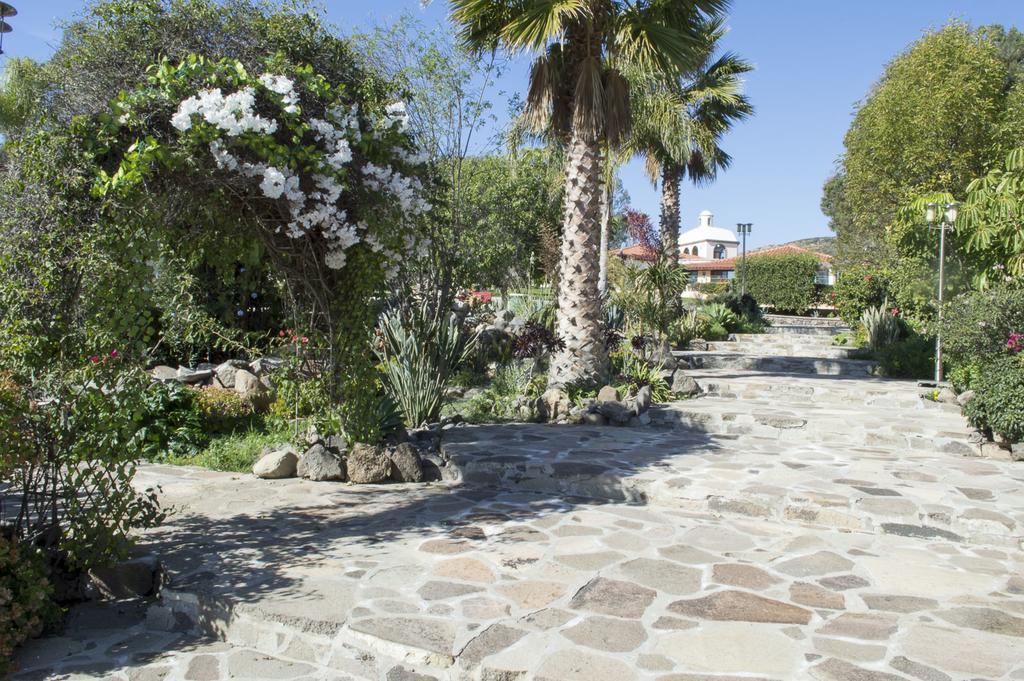 Quinta Santa Teresa Villa & Suites Ensenada Zewnętrze zdjęcie